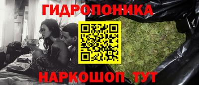 соль ск Гагарин