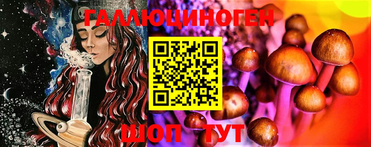 Галлюциногенные грибы Psilocybine cubensis Карачаевск