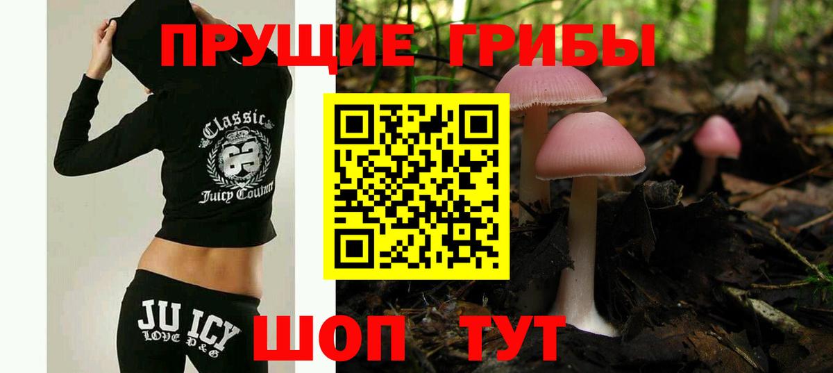 Галлюциногенные грибы мухоморы  Галлюциногенные грибы Magic Shrooms  Вход с VPN  купить   Карачаевск 